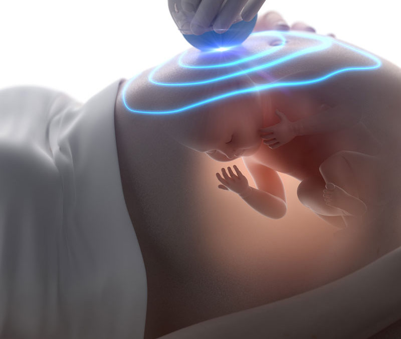 From womb to world: scans capture how our brains develop during pregnancy and beyond